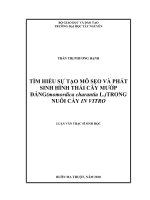 tìm hiểu sự tạo mô sẹo và phát sinh hình thái cây mướp đắng (momordica charantia l.) trong nuôi cấy in vitro