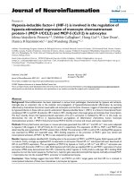 báo cáo hóa học: 