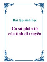 Bài tập sinh học: Cơ sở phân tử của tính di truyền pptx