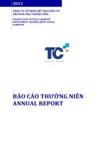 báo cáo thường niên annual report 2013 CÔNG TY CỔ PHẦN DỆT MAY ĐẦU TƯ THƯƠNG MẠI THÀNH CÔNG  THANH CONG TEXTILE GARMENT INVESTMENT TRADING JOINT STOCK COMPANY