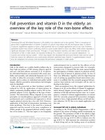 Báo cáo hóa học: 