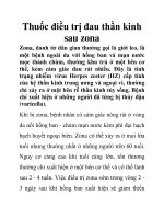 Thuốc điều trị đau thần kinh sau zona ppt