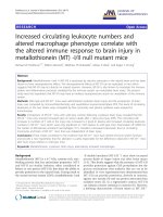 báo cáo hóa học: 