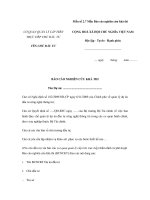 Mẫu số 2.7 Mẫu Báo cáo nghiên cứu khả thi doc