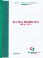 báo cáo thường niên cty cổ phần ánh dương việt nam