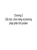 CHƯƠNG 2 CẤU TRÚC CHỨC NĂNG VÀ PHƯƠNG PHÁP PHÂN TÍCH PROTEIN