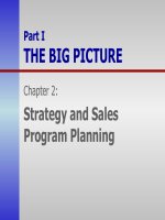 Strategy and Sales Program Planning doc