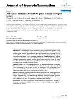 báo cáo hóa học: 