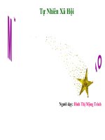 Giáo án tự nhiên xã hội 