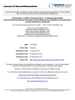 báo cáo hóa học: 