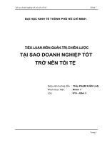 TIỂU LUẬN MÔN QUẢN TRỊ CHIẾN LƯỢC TẠI SAO DOANH NGHIỆP TỐT  TRỞ NÊN TỒI TỆ