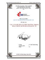 tiểu luận vấn đề môi trường trong kinh doanh quốc tế