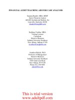 FINANCIAL AUDIT TEACHING AID FOR CASE ANALYSIS_PART1 ppt