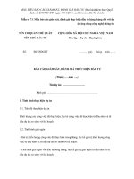 Mẫu số 7.1 Mẫu báo cáo giám sát, đánh giá thực hiện đầu tư hàng tháng đối với dự án ứng dụng công nghệ thông tin doc