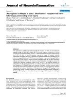 báo cáo hóa học: 