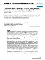 báo cáo hóa học: 