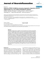 báo cáo hóa học: 