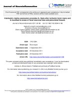 báo cáo hóa học: 