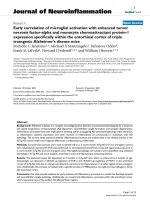 báo cáo hóa học: 