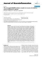 báo cáo hóa học: 