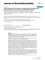 báo cáo hóa học: 