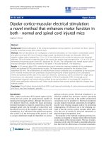 Báo cáo hóa học: 