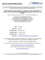 báo cáo hóa học: 