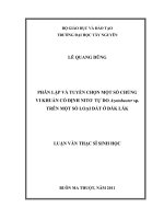 phân lập và tuyển chọn môt số chủng vi khuẩn cố định nito tự do azotobacter sp. trên một số loại đất ở đắc lắc