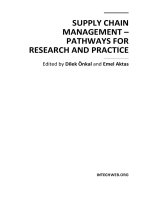 Supply Chain Management Pathways for Research and Practice Part 1 pot
