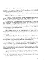 Khảo cổ học vùng duyên hải đông bắc Việt Nam part 7 potx