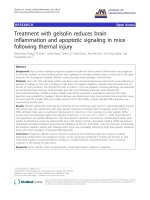 báo cáo hóa học: 