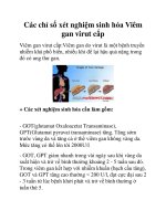 Các chỉ số xét nghiệm sinh hóa Viêm gan virut cấp potx