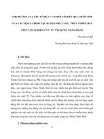 Báo cáo nghiên cứu khoa học 