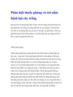 Phân biệt thuốc phòng và trừ nấm bệnh hại cây trồng ppt