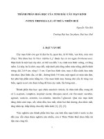 Báo cáo nghiên cứu khoa học 