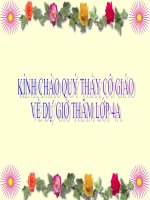 Giáo án địa lý lớp 4 