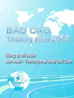 báo cáo thường niên công ty cổ phần sản xuất thương mại may sài gòn 2009 2013