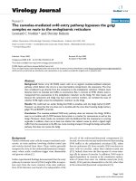 Báo cáo sinh học: 