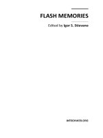Flash Memories Part 1 pot