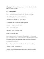 Cấp giấy phép thầu cho nhà thầu nước ngoài là tổ chức nhận thầu các gói thầu thuộc dự án nhóm B,C pptx