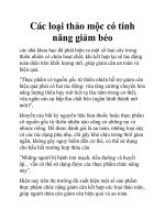 Các loại thảo mộc có tính năng giảm béo ppt