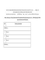 MẪU THỦ TỤC HÀNH CHÍNH MỚI BAN HÀNH THUỘC THẨM QUYỀN GIẢI QUYẾT pptx