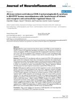 báo cáo hóa học: 