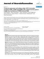 báo cáo hóa học: 