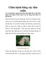 Chữa bệnh bằng cây tầm xuân pdf