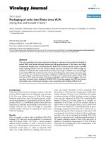 Báo cáo sinh học: 