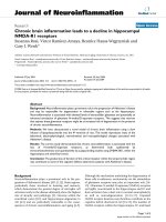 báo cáo hóa học: 