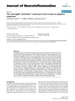 báo cáo hóa học: 