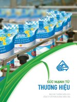 báo cáo thường niên 2013 sức mạnh từ thương hiệu cty đường biên hòa