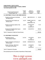HAWAII DISABILITY RIGHTS CENTER FINANCIAL AUDITS YEARS ENDED SEPTEMBER 30, 2004 AND 2003_part2 doc